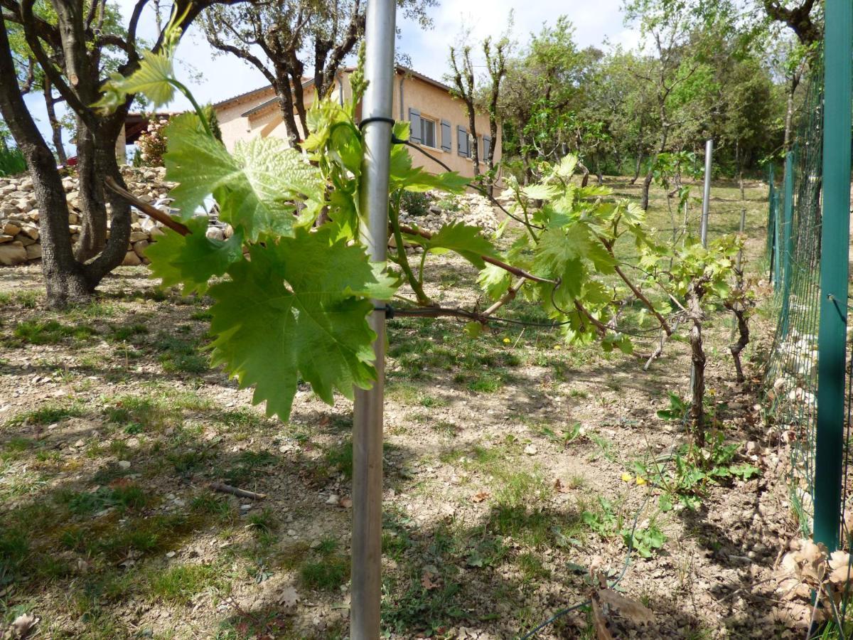 Gites De L'Esquirou Lagorce  Bagian luar foto